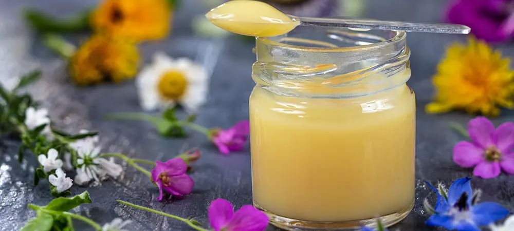 Arı sütü nasıl kullanılır? Arı sütünün faydaları nelerdir? Arı sütü nasıl kullanılır? Arı sütünün faydaları nelerdir?