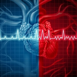 kalp sağlığı arteriyel fibrilasyon)