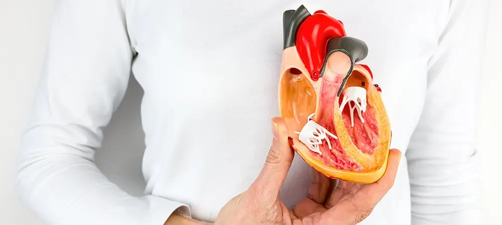 ASD (atriyal septal defekt) nedir? Atriyal septal defekt neden olur? ASD (atriyal septal defekt) nedir? Atriyal septal defekt neden olur?