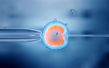 Tüp Bebek Yönteminde Sperm ve Embriyo Kalitesi Büyük Önem Taşıyor
