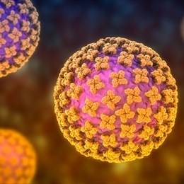 Bunyavirus Nedir ve Belirtileri Nelerdir? Nasıl Bulaşır?