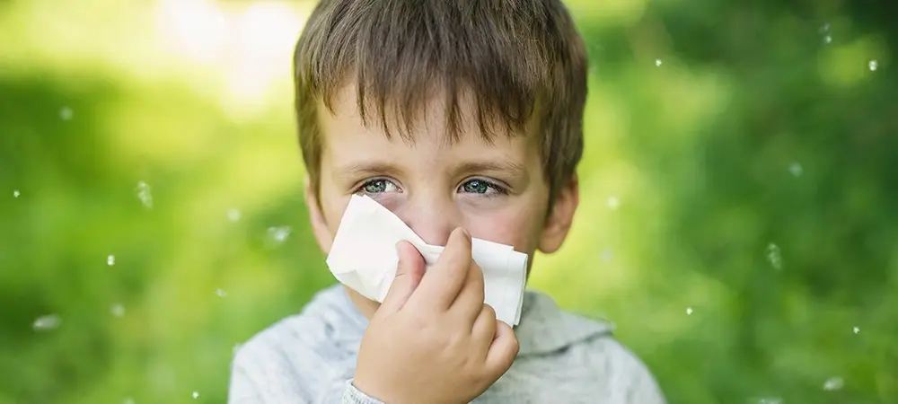 Çocuklarda bahar alerjisi neden olur? Çocuklarda bahar alerjisinin belirtileri Çocuklarda bahar alerjisi neden olur? Çocuklarda bahar alerjisinin belirtileri