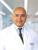 Prof. Dr. Mehmet İbiş