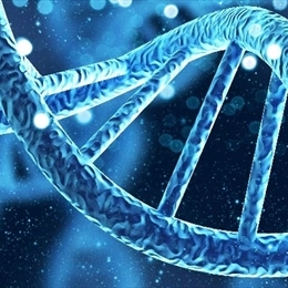 DNA Testi Nedir? 