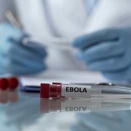 ebola virusu nedir ebola belirtileri ve tedavileri medicana