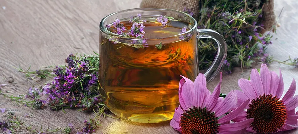 Ekinezya çayının faydaları neler? Ekinezya nasıl tüketilmeli? Ekinezya çayının faydaları neler? Ekinezya nasıl tüketilmeli?