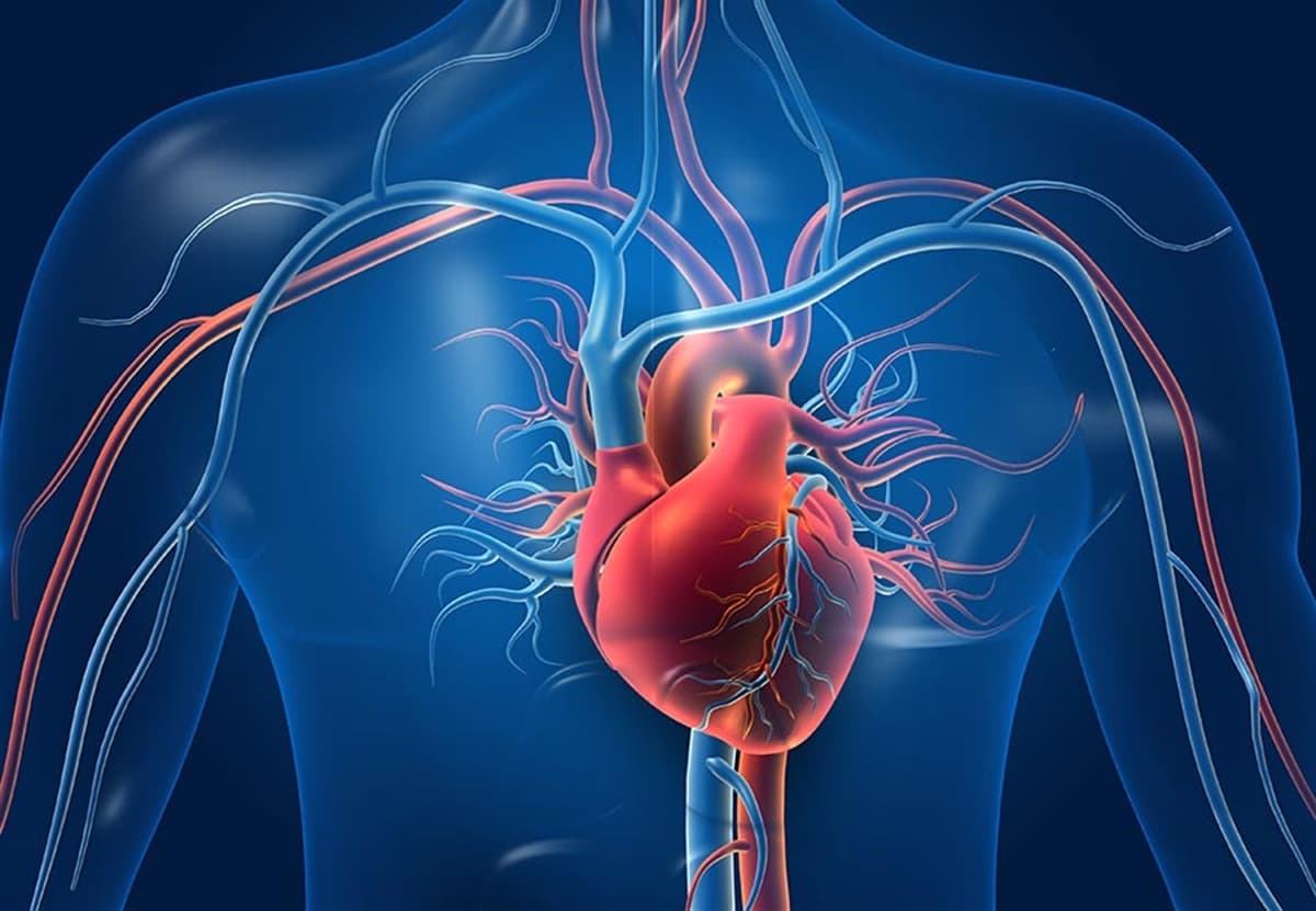 gıdalar üzerinde FDA onaylı kalp sağlığı iddiaları hipertansiyon ile bronzlaşma