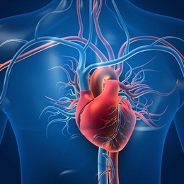 Kalp ve Damar Cerrahisi - Sıkça Sorulan Sorular (SSS)