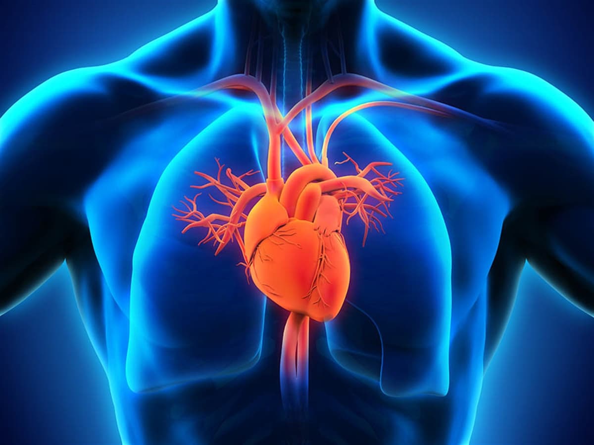 Kalp ve Damar Cerrahisi Nedir? Hangi Hastalıklara Bakar? - Medicana Sağlık Grubu