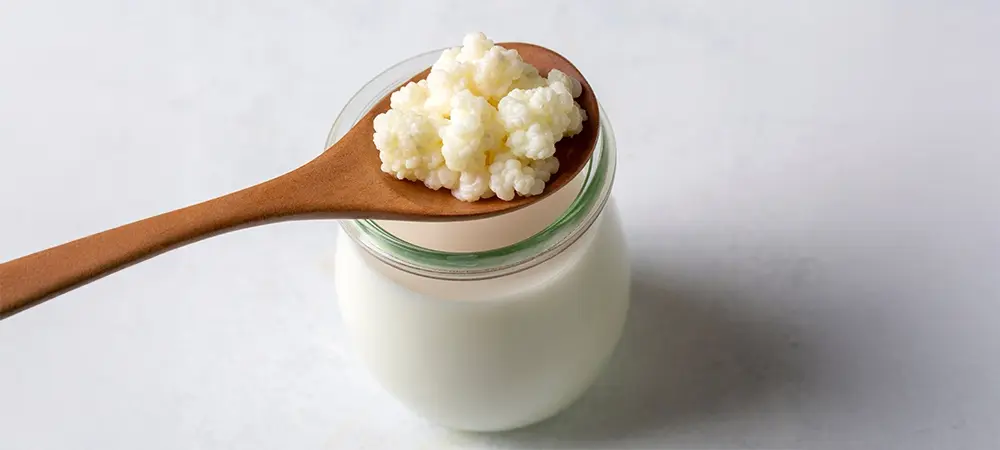 Kefirin faydaları nelerdir? Kefir hangi hastalıklara iyi gelir? Kefirin faydaları nelerdir? Kefir hangi hastalıklara iyi gelir?