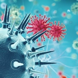 Enfeksiyon Hastalıkları ve Klinik Mikrobiyoloji Nedir? 