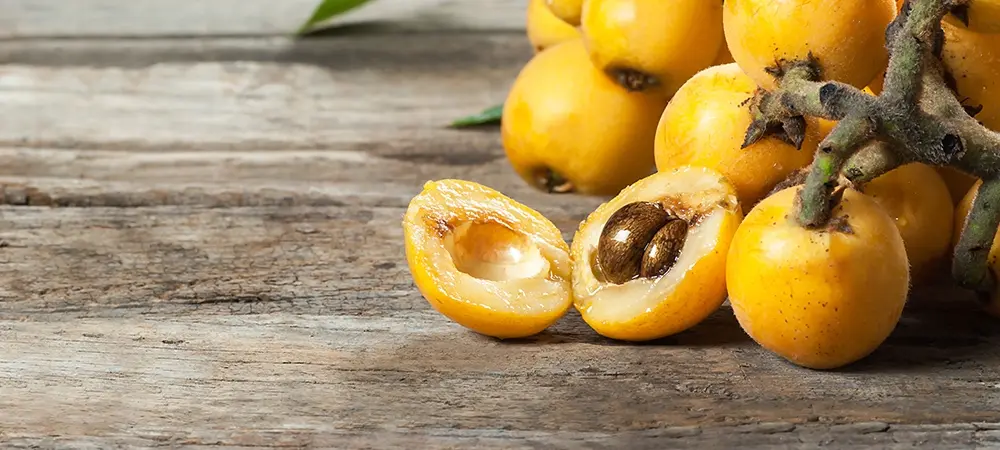 Malta eriğinin faydaları nelerdir? Malta eriğinin besin değeri ve kalorisi Malta eriğinin faydaları nelerdir? Malta eriğinin besin değeri ve kalorisi