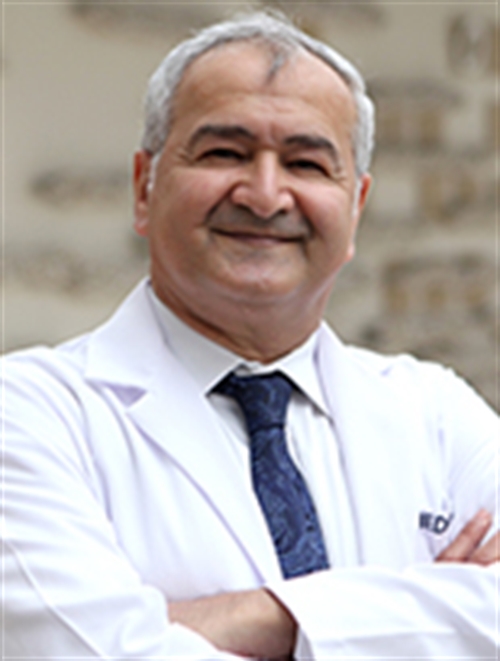 Dr. Öğr. Üyesi Mansur Azermir