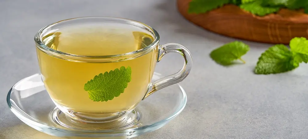 Melisa çayının faydaları neler? Melisa çayının yan etkileri var mı? Melisa çayının faydaları neler? Melisa çayının yan etkileri var mı?
