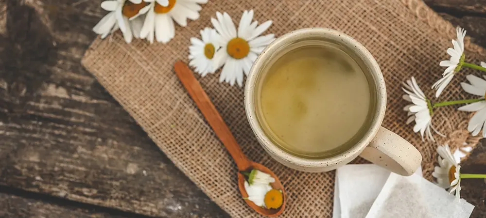 Papatya çayı ne iyi gelir? Papatya çayı hangi hastalıklarda etkilidir? Papatya çayı ne iyi gelir? Papatya çayı hangi hastalıklarda etkilidir?