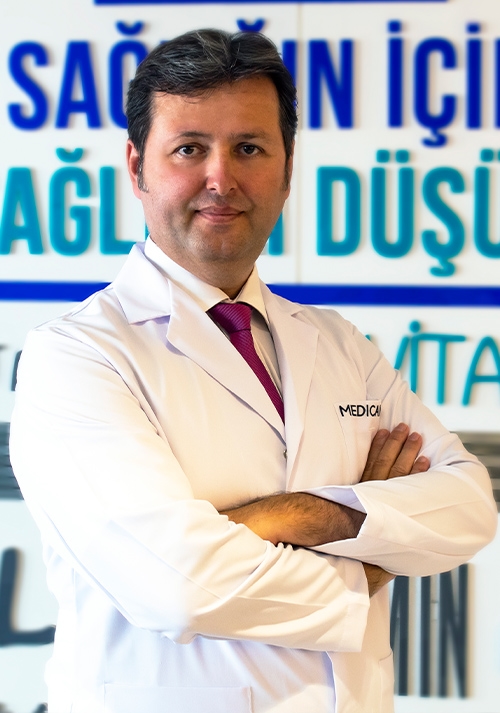 Prof. Dr. Gökçe Şirin