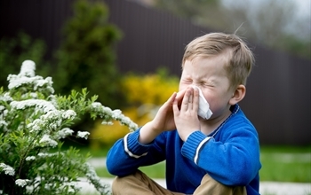 Alerjik Astım Çocukluk Çağında Sık Görülebiliyor