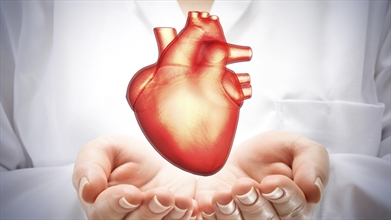 TAVI: Ameliyatsız Kalp Kapağı Değişimi