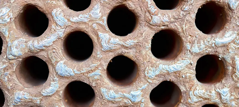 Tripofobi (delikli el fobisi) nedir? Tripofobinin belirtileri nelerdir? Tripofobi (delikli el fobisi) nedir? Tripofobinin belirtileri nelerdir?