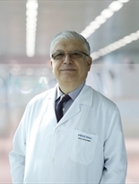 Prof. Dr. Remzi Sağlam
