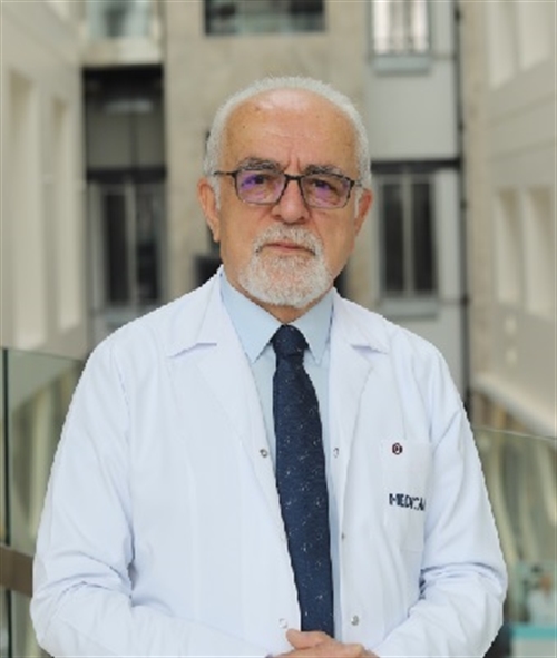 Prof. Dr. Yener Gültekin